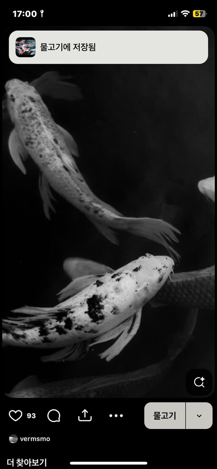 buoafnh 커버 이미지