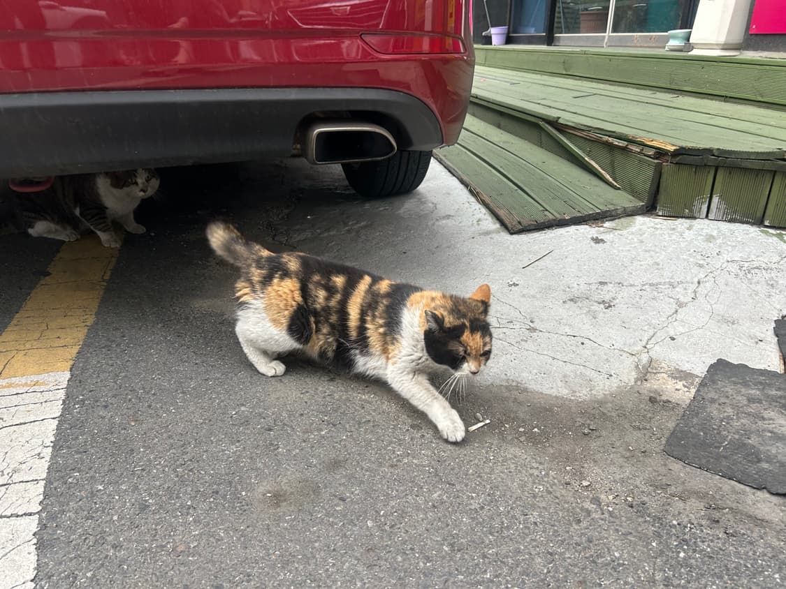 flxngfigfromfrance 커버 이미지