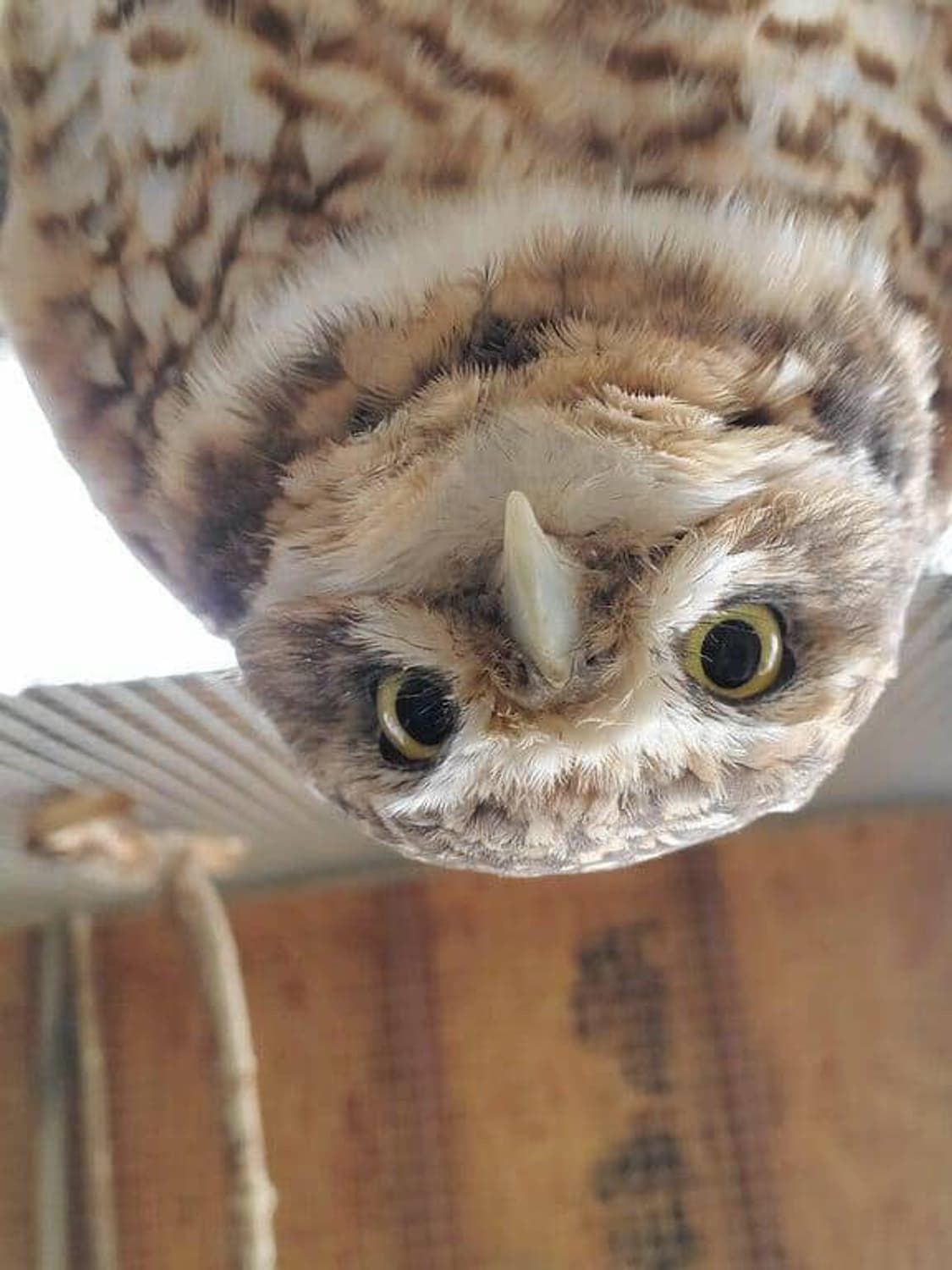 dlftlqnfdldy 커버 이미지