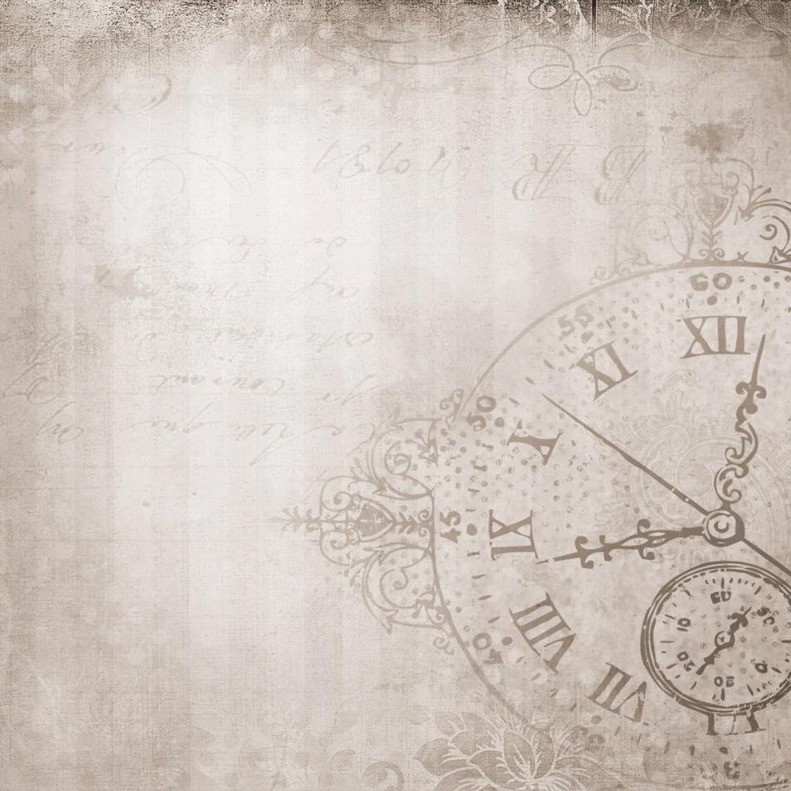 shop meow house 커버 이미지