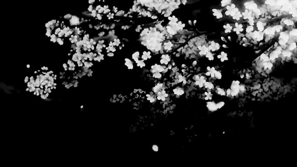 cover-image
