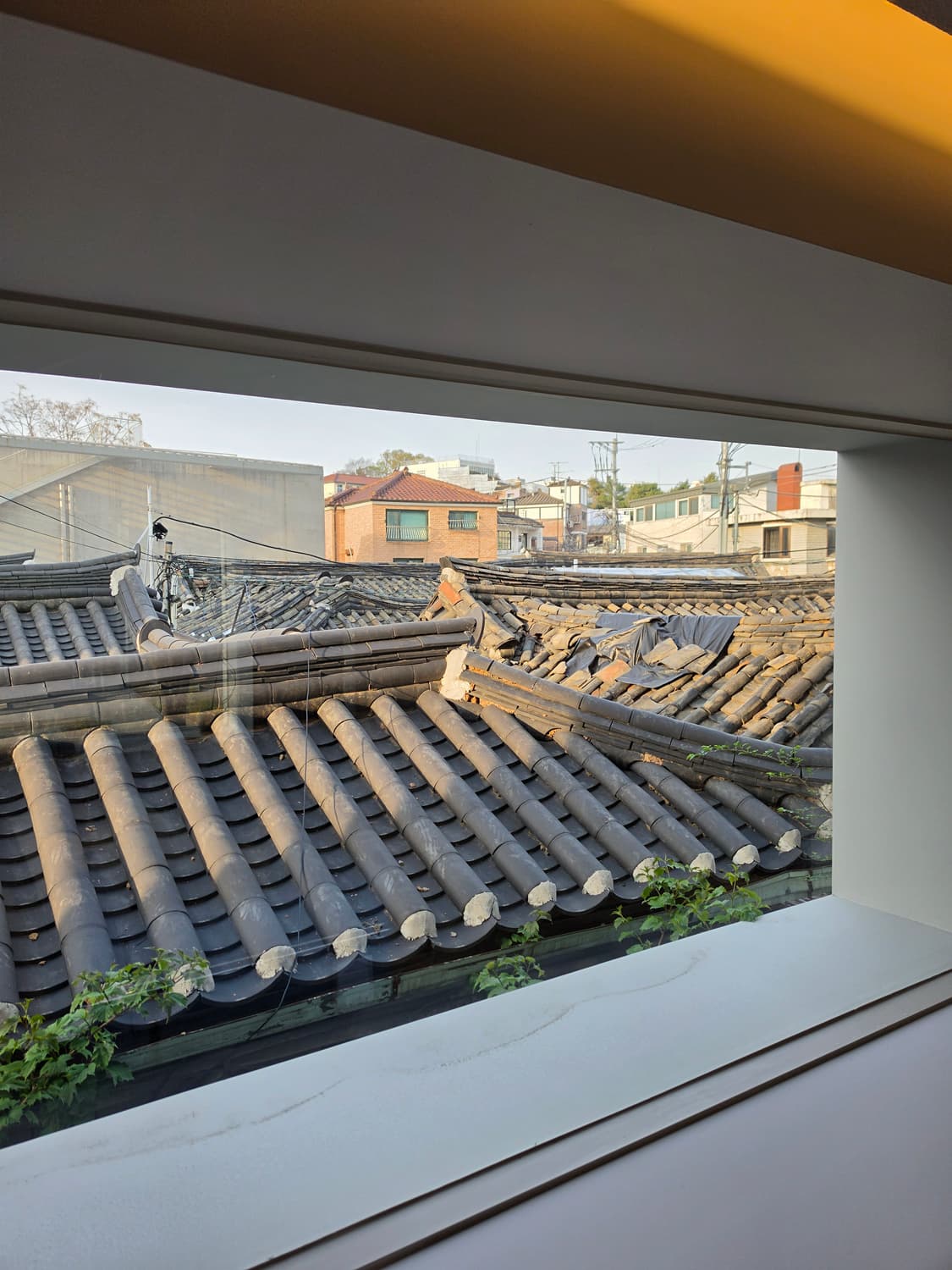 ddoazoo 커버 이미지