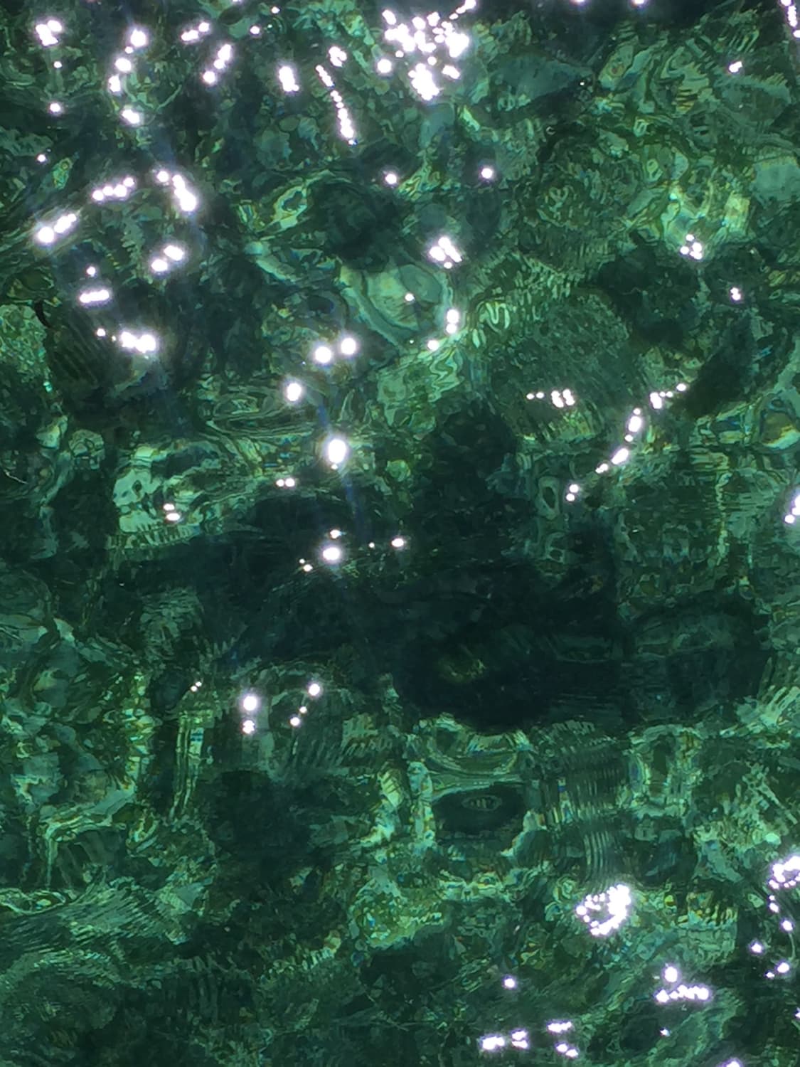 cover-image