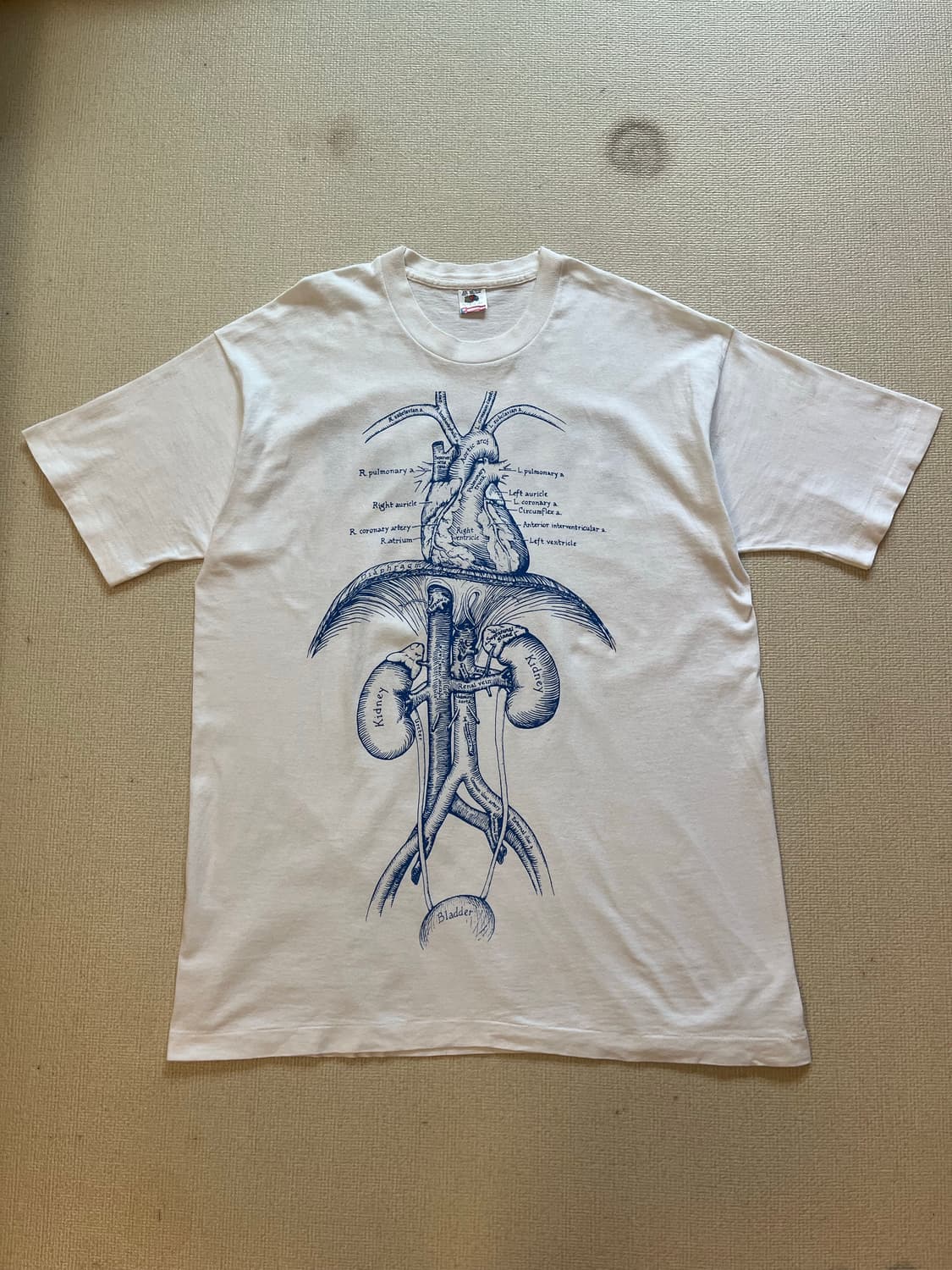 90s VINTAGE NDRI ANATOMY PRINT TEE USA 상품이미지2