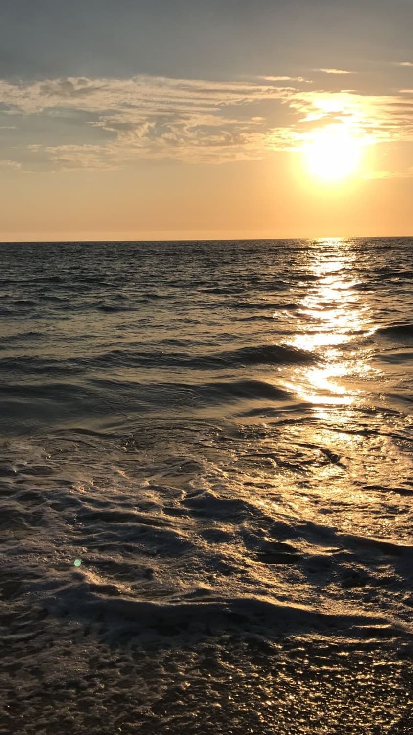 *결제창* 상품이미지1