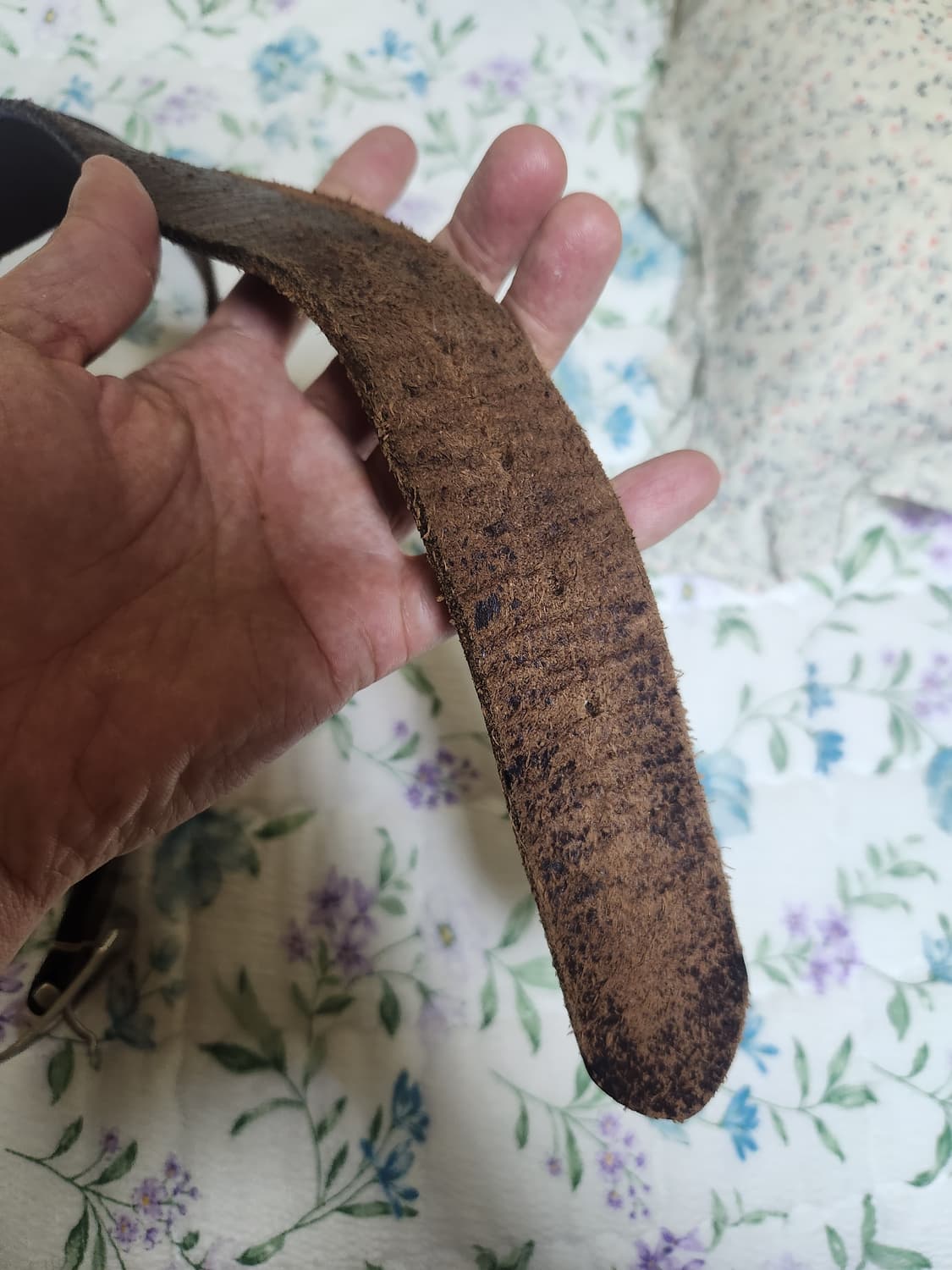 슈가케인 상품이미지3