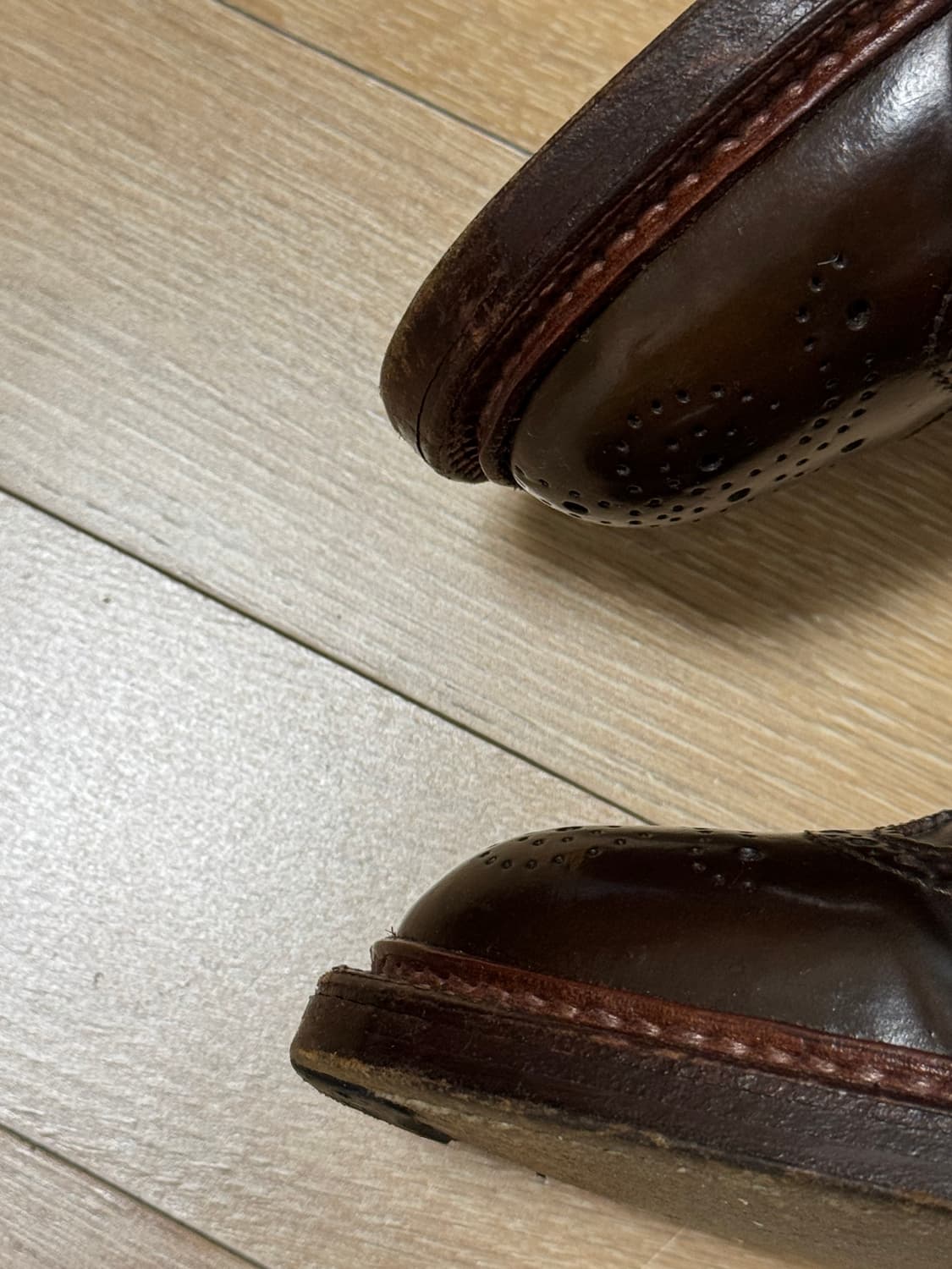 알든 시가쉘 코도반 롱윙  상품이미지6