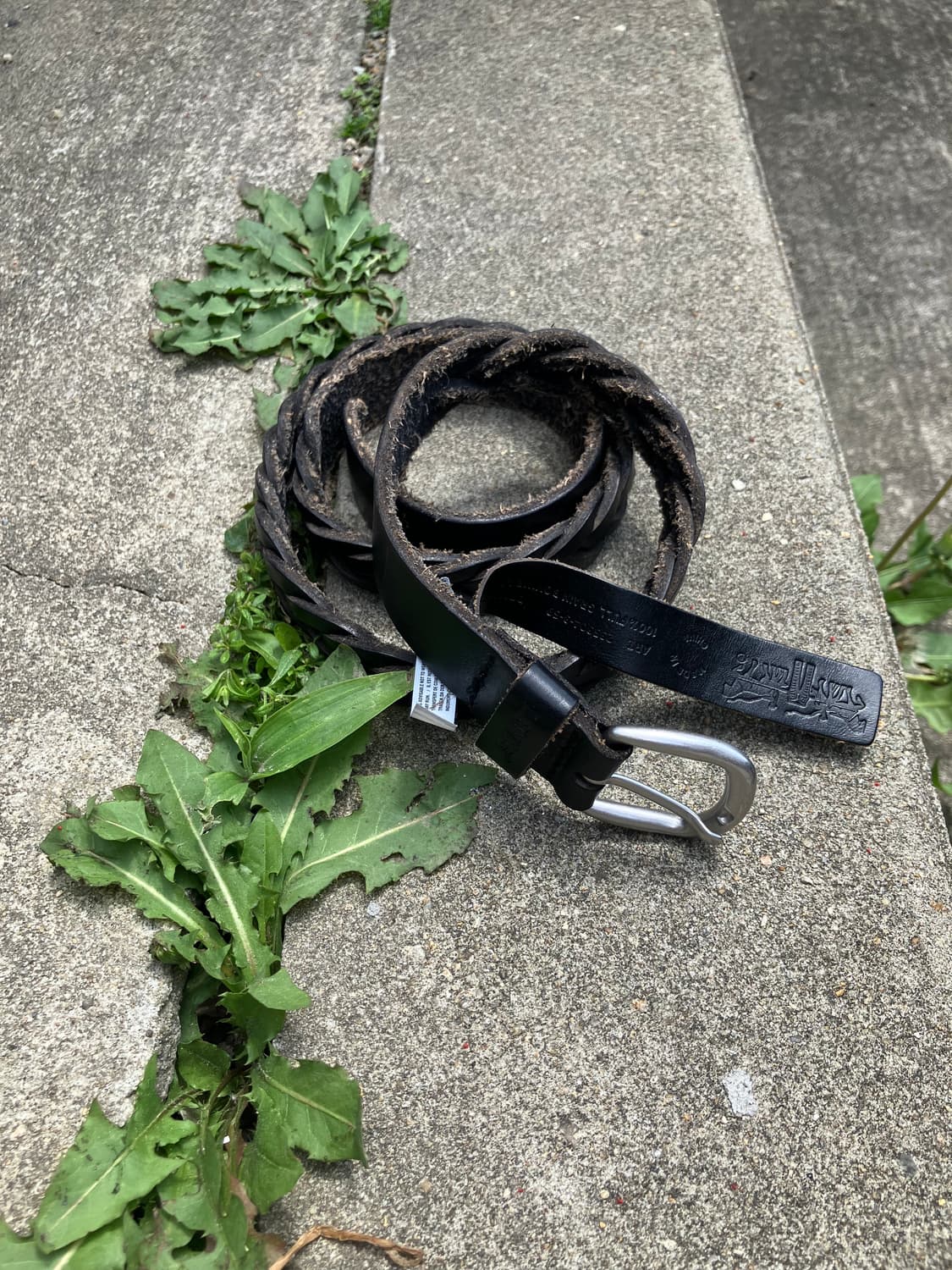 Levi’s 블랙 꼬임 레더 벨트 상품이미지5