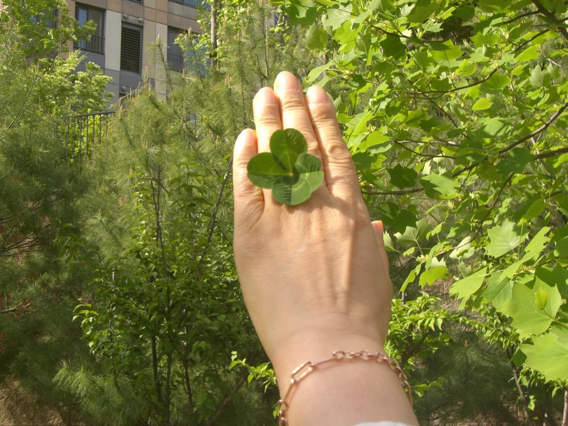 [작례있음] 카시오 Z700 / 아련분위기 상품이미지4