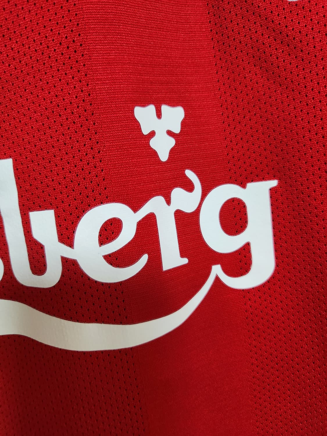 08/10 리버풀 홈 긴팔 토레스 상품이미지6