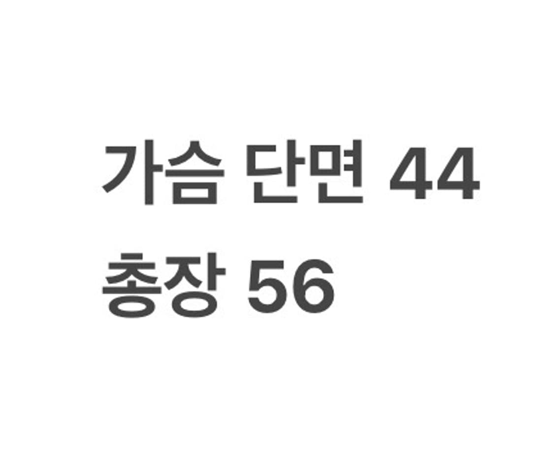[ 정품/40 ] 라코스테 반팔 카라티 b15 상품이미지6