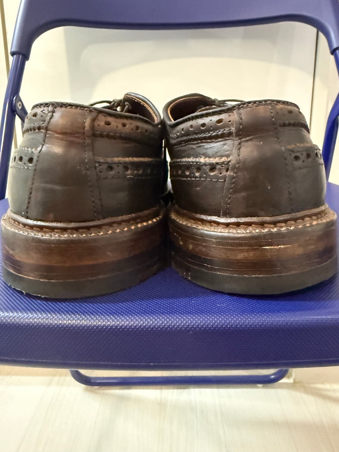 Alden Longwing Blucher Brown Chromexcel 상품이미지4