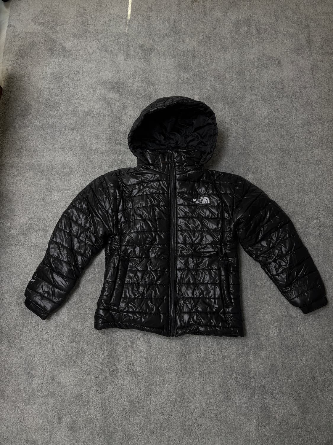 North Face Summit 800 Down Puffer 상품이미지1