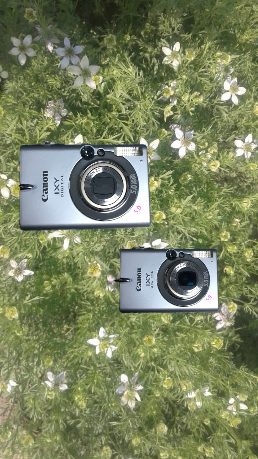 캐논 IXY digital 500 (ixus 500) 디카 상품이미지1