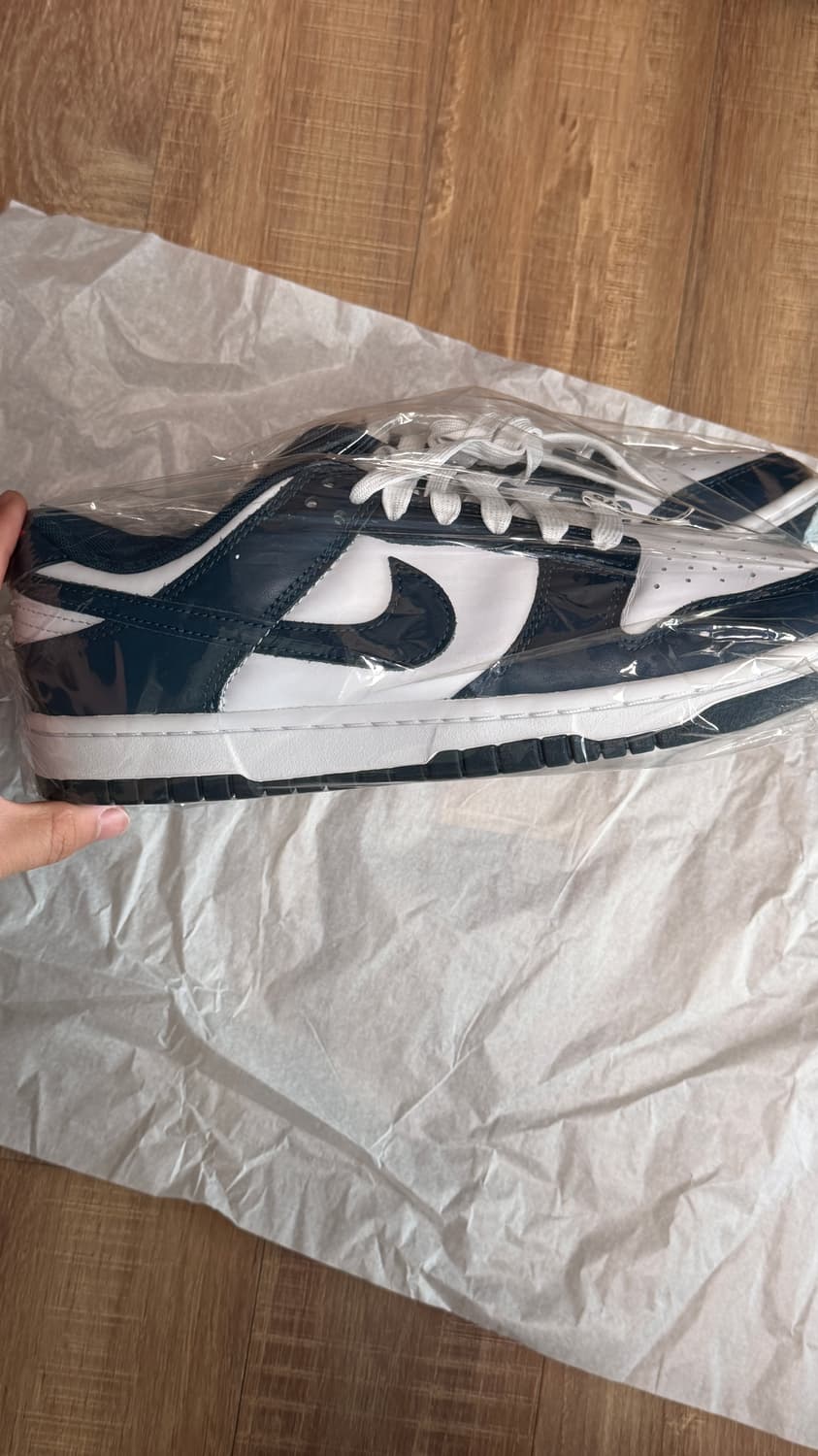 덩크 로우 발레리안 블루 상품이미지1