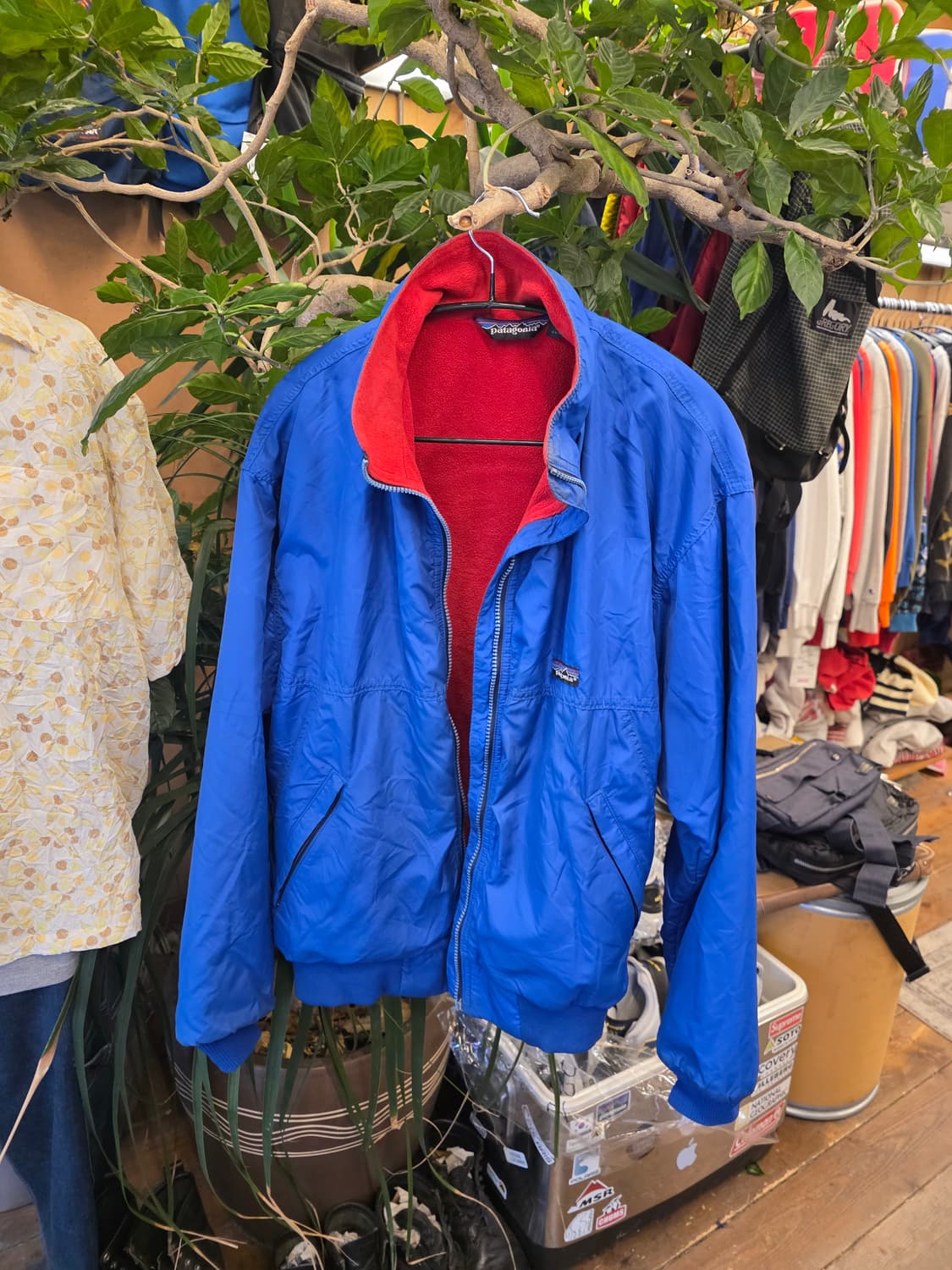 Z-534 파타고니아 신칠라 쉘드 봄버 자켓 상품이미지3