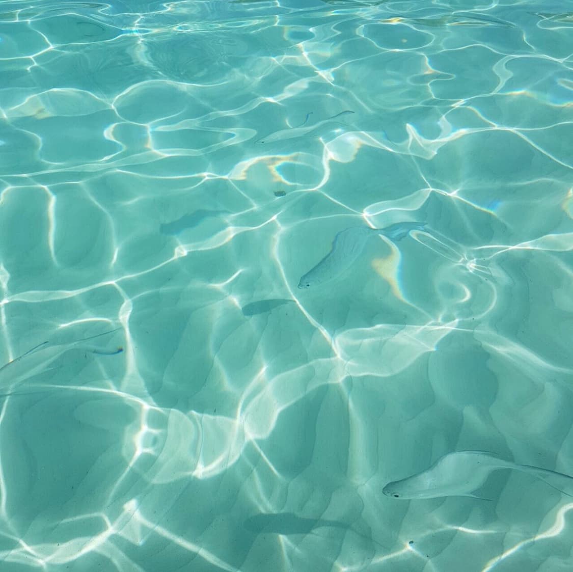 channy0905 님 개인거래창 상품이미지1