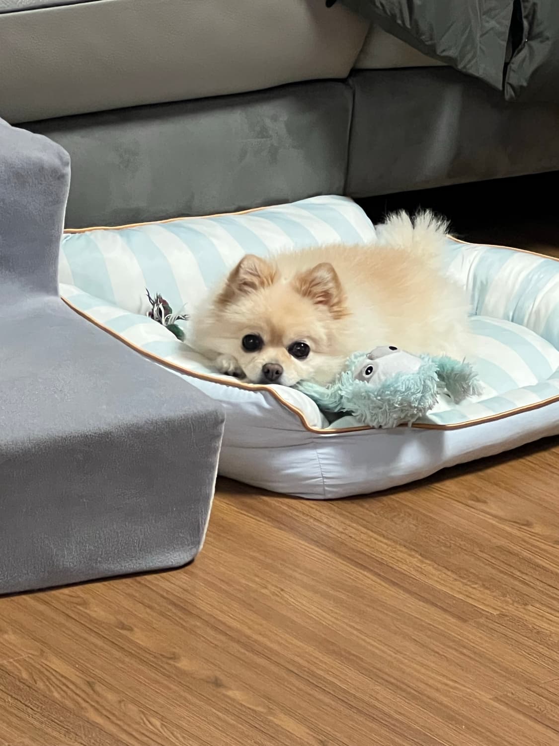 나이키 트레이닝 결제창 상품이미지1