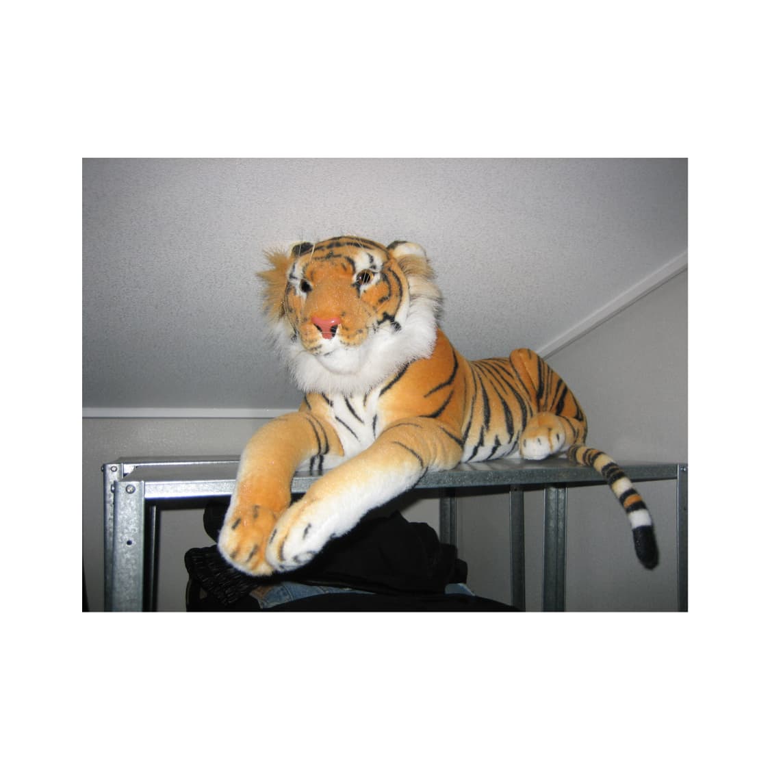 캐논 IXYDigital60 디지털카메라 빈티지디카 상품이미지9