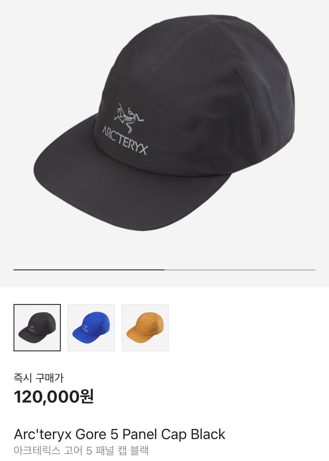 아크테릭스 고어5 패널 볼캡 블랙 상품이미지1