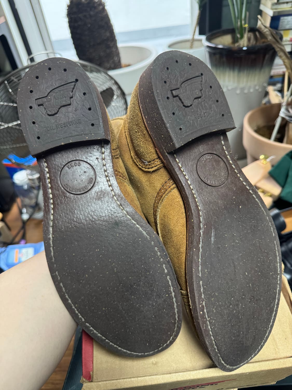 레드윙 아이언레인저 8113 호손뮬스키너 270  상품이미지4