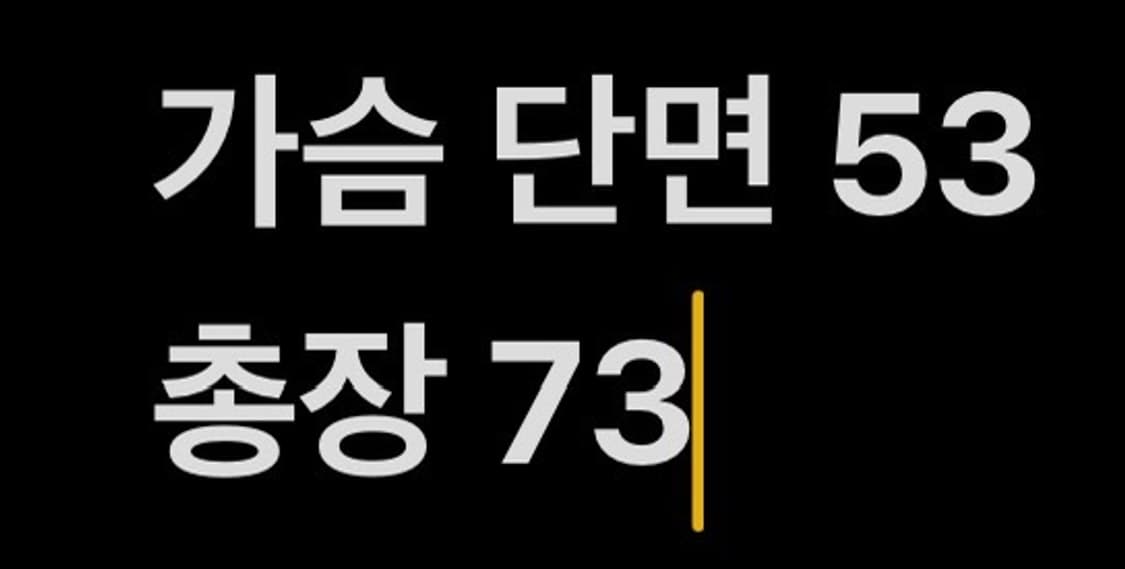 [정품/M] 롯데자이언츠 동백 유니폼 b16 상품이미지6