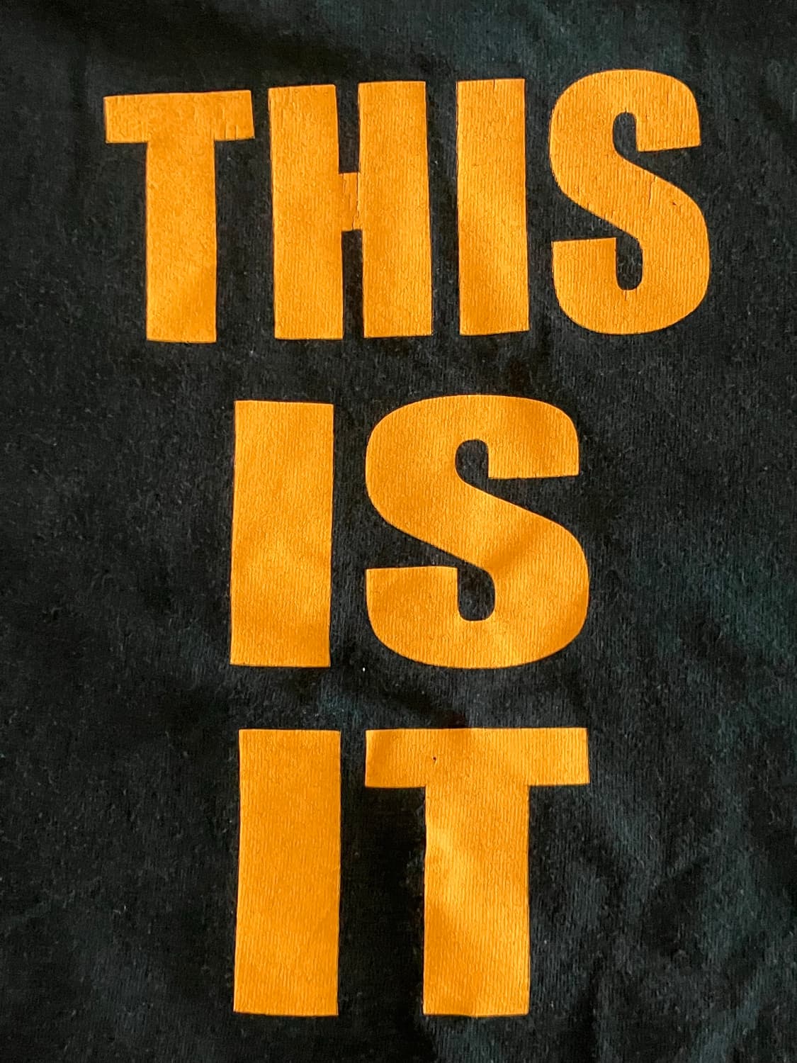 길단 GILDAN 사의 Moose 사슴 티셔츠 여성 S 구제 빈티지 상품이미지6