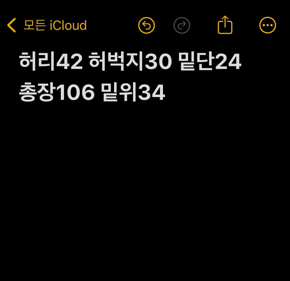 3qr 카고 팬츠 상품이미지9