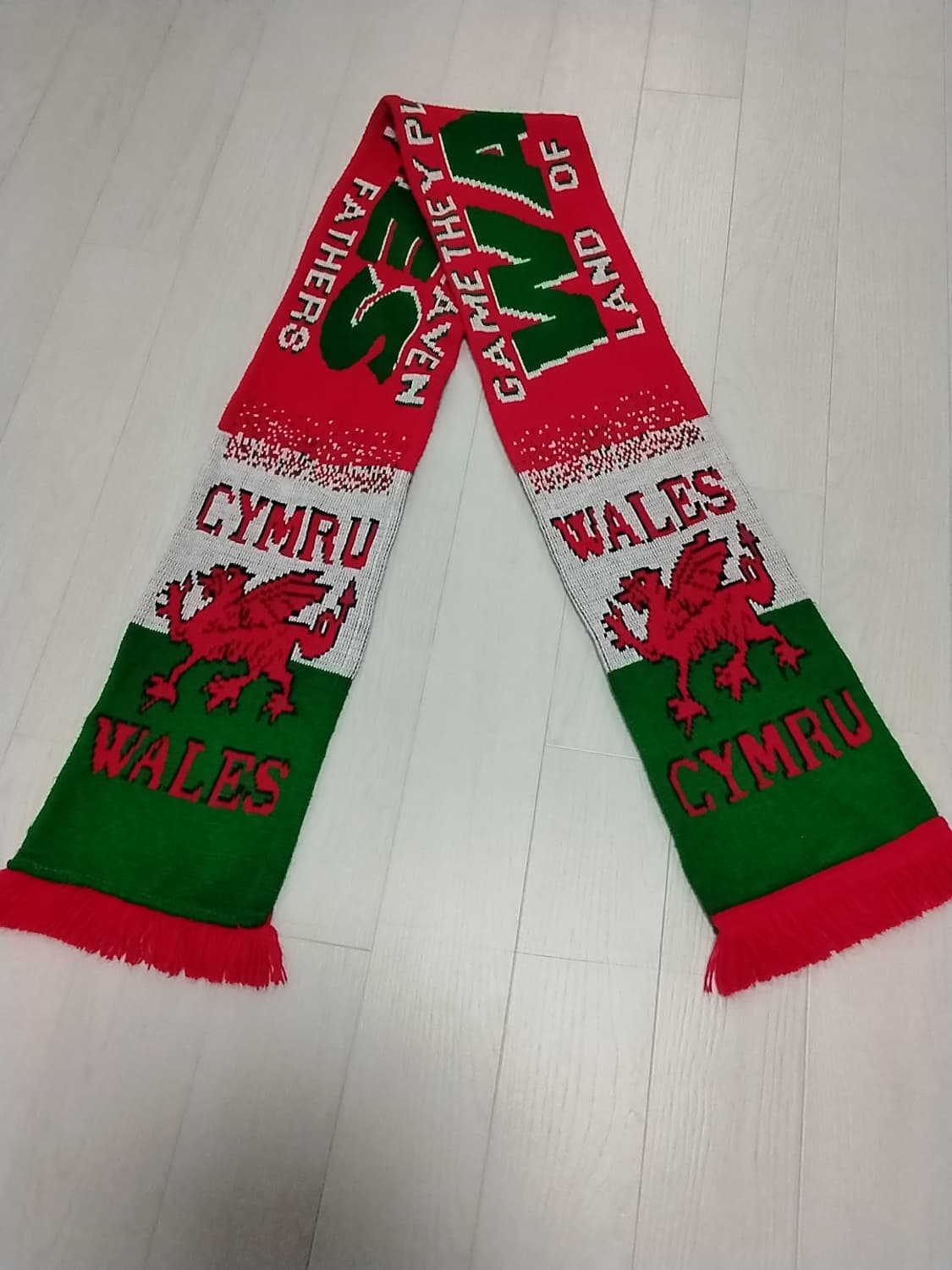 웨일스 축구 머플러 상품이미지1