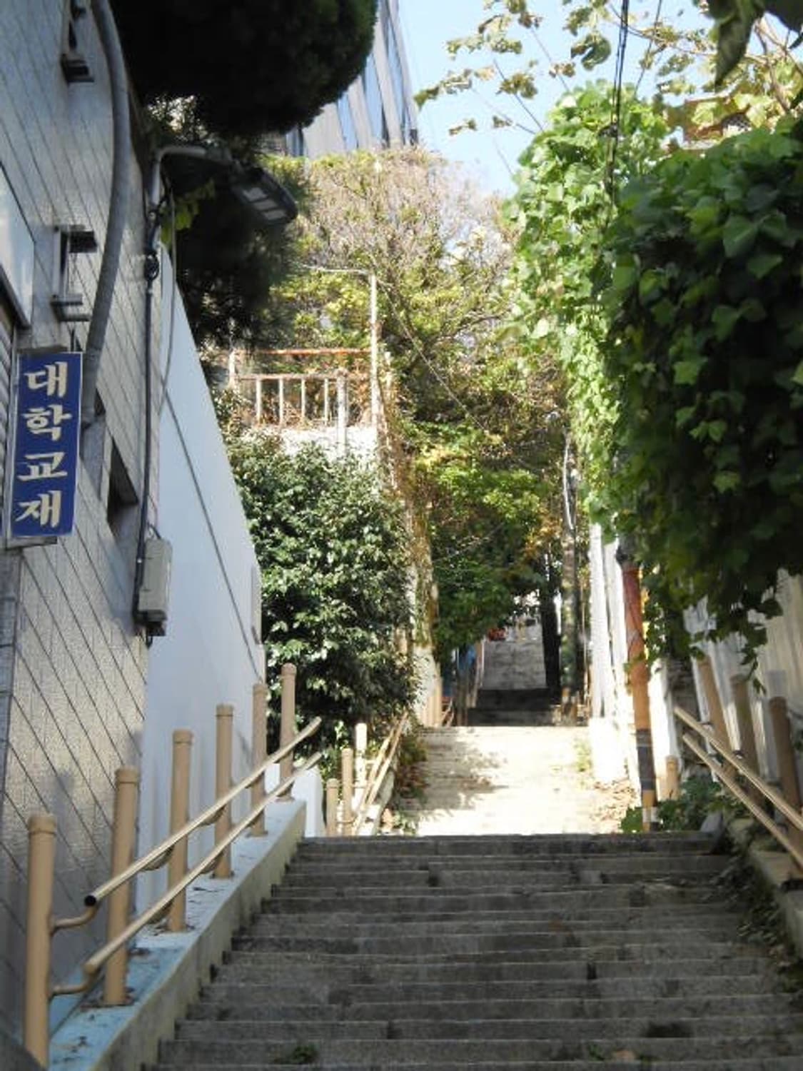 빈티지 디카 올림푸스 (Olympus) T-110 풀구성 상품이미지9