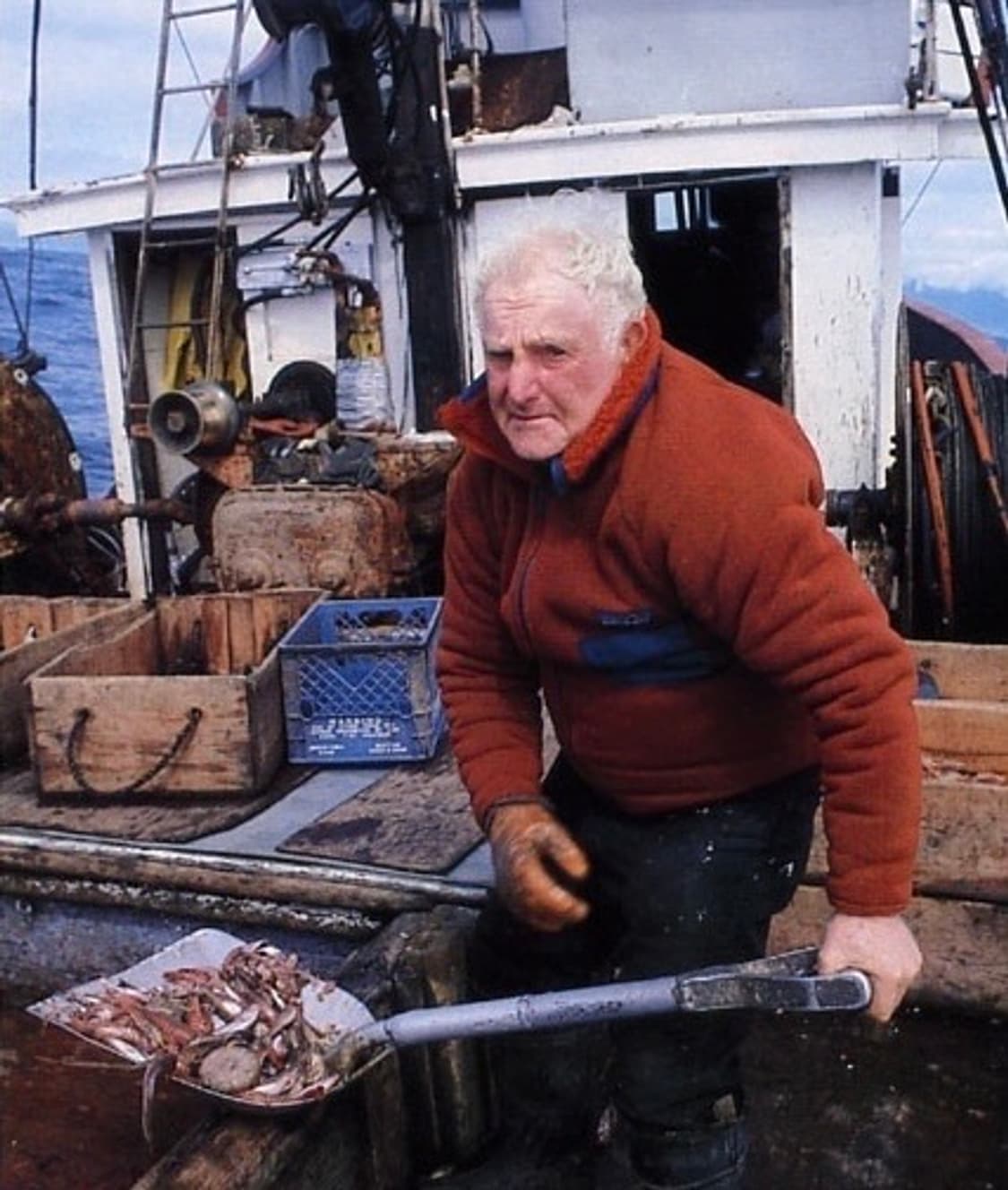 파타고니아 신칠라 감성 니트 플리스 하프집업 M (103)  상품이미지10