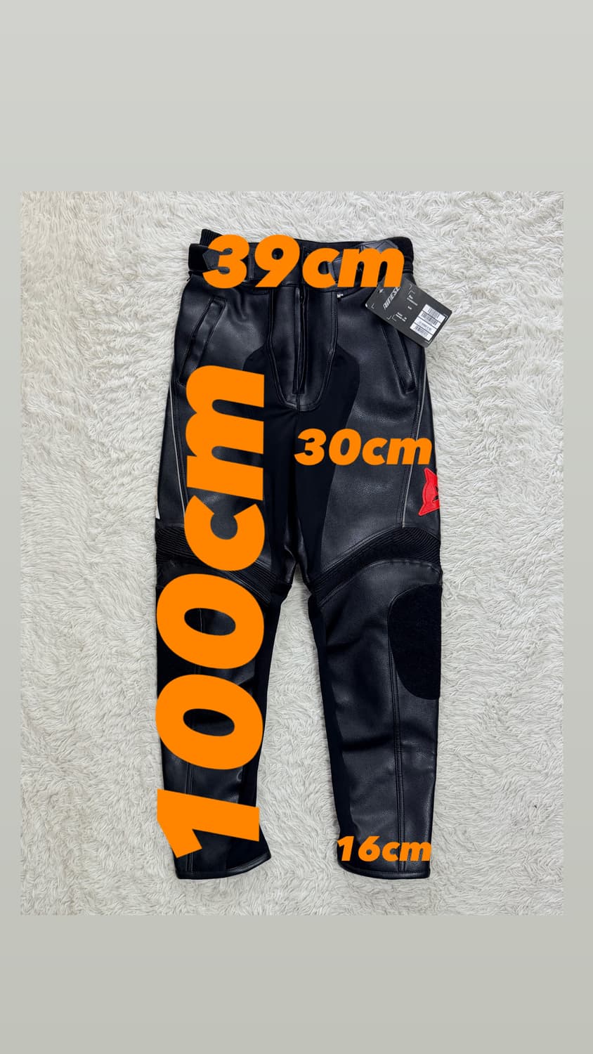다이네즈(Dainese) 플랭커 D-Dry 레더 바이크 팬츠 상품이미지2
