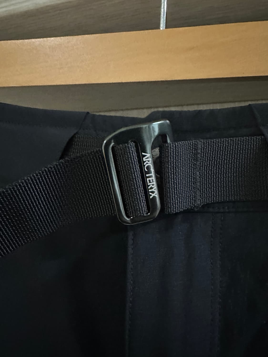 아크테릭스 펠리세이드 팬츠  상품이미지3