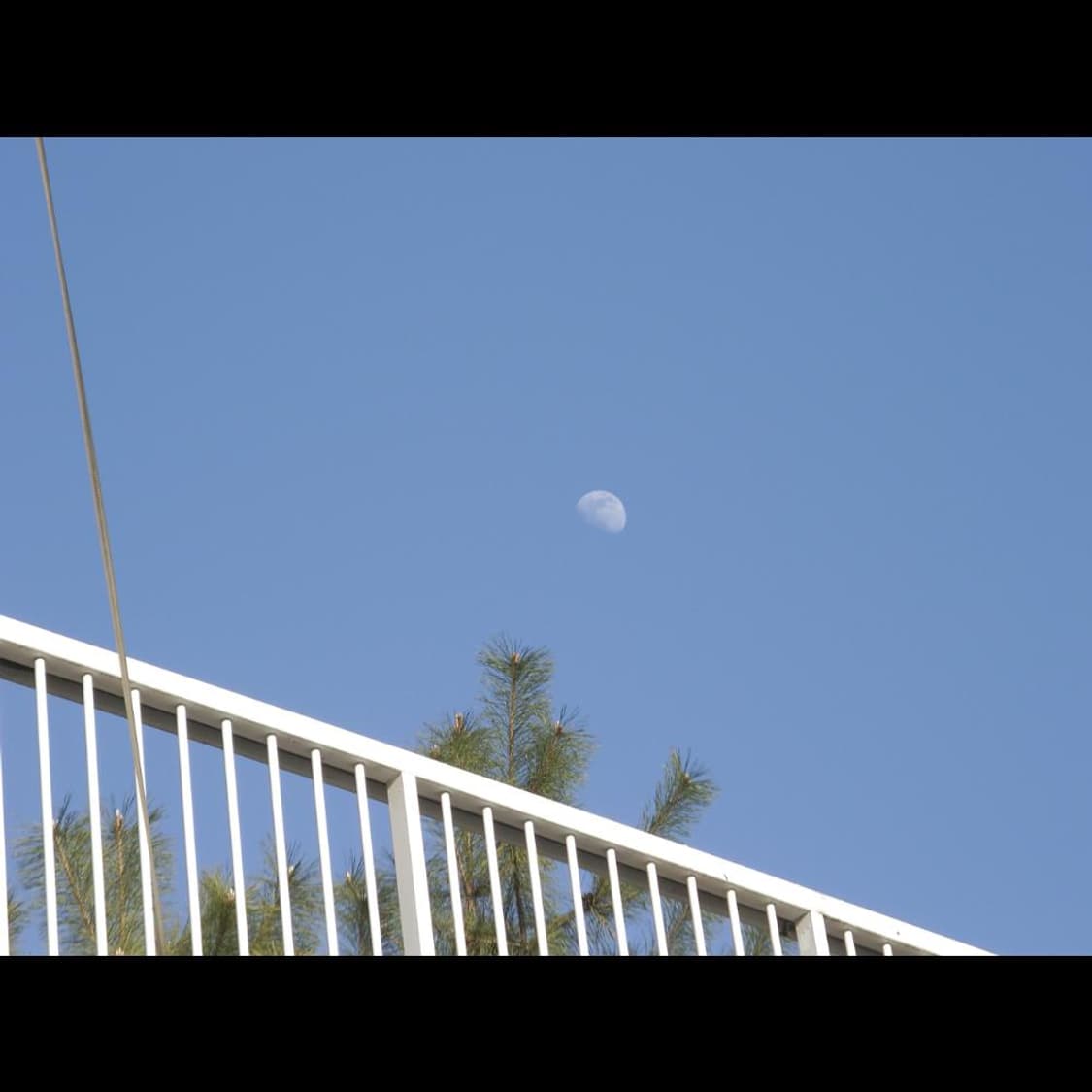 작례⭕️ 펜탁스 옵티오 SVi 메탈릭 실버 상품이미지4