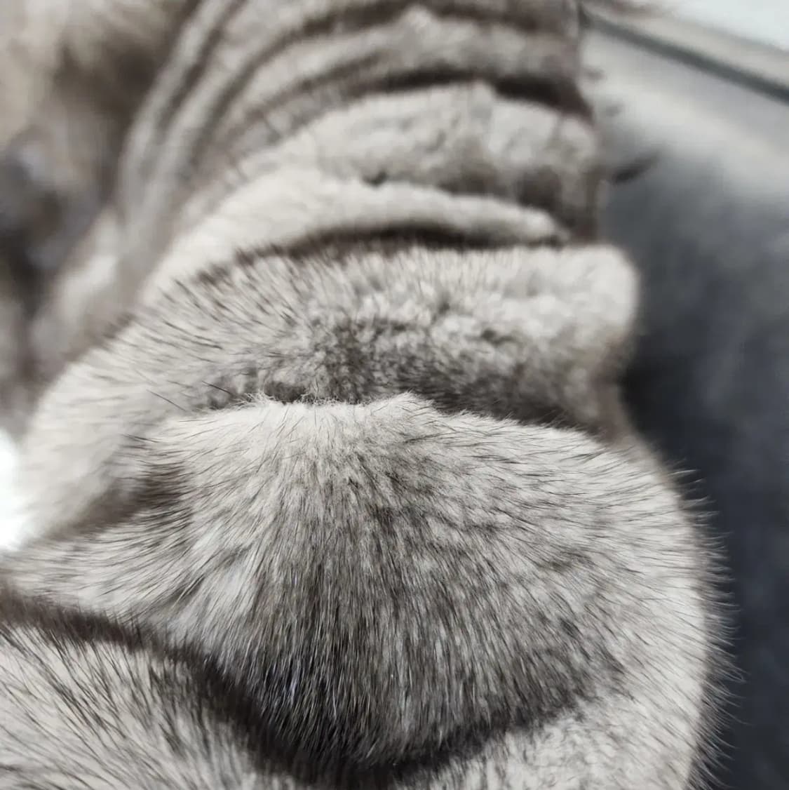 마지막1벌 )동우모피 나파밍크코트 새제품 (착샷0) 상품이미지4