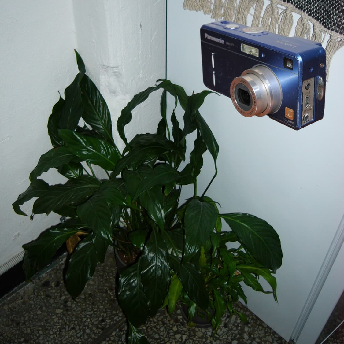 LUMIX F1(🎁풀패키지/📸Leica) 상품이미지6