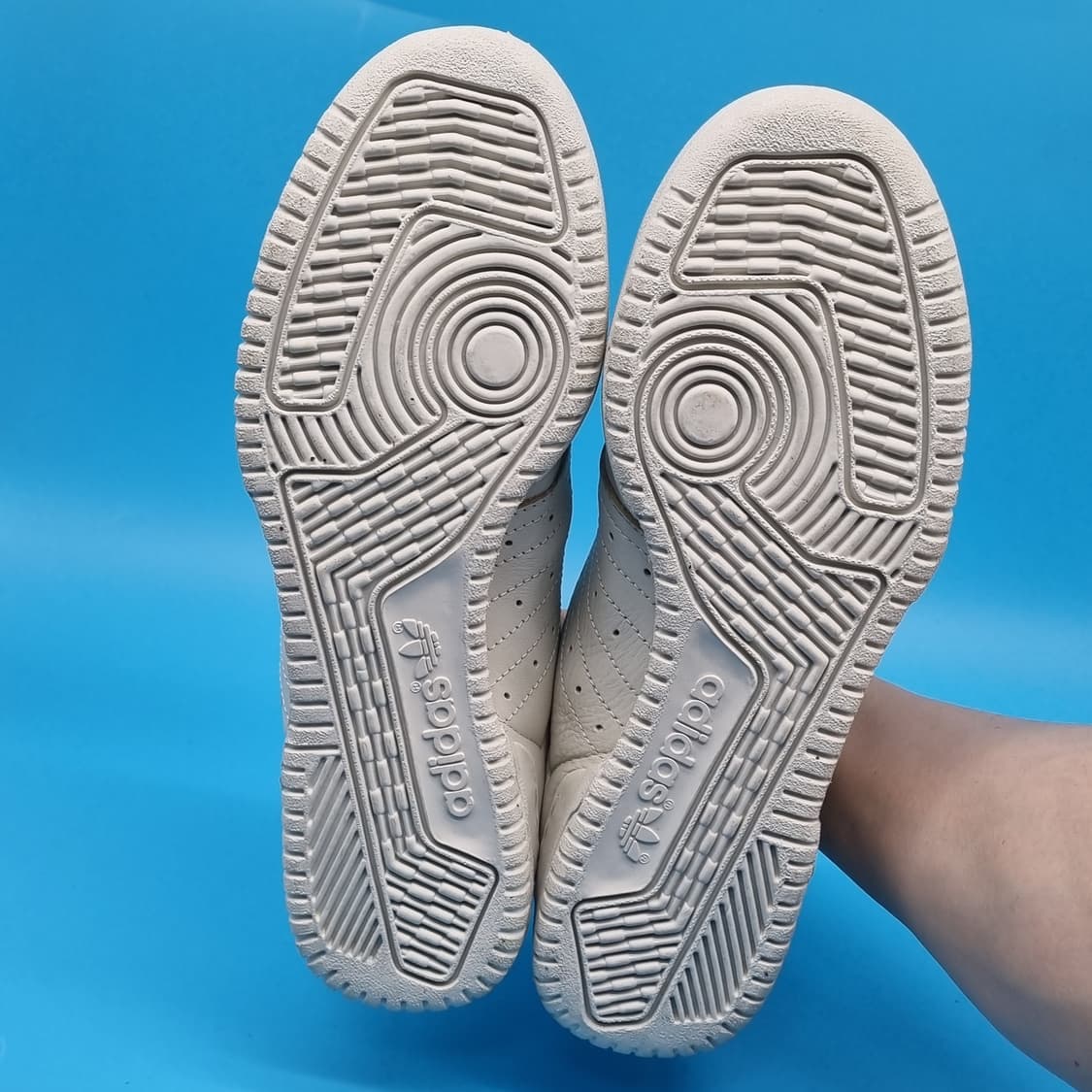 ooo 아디다스 이지 파워페이즈 칼라바사스 운동화270 상품이미지3