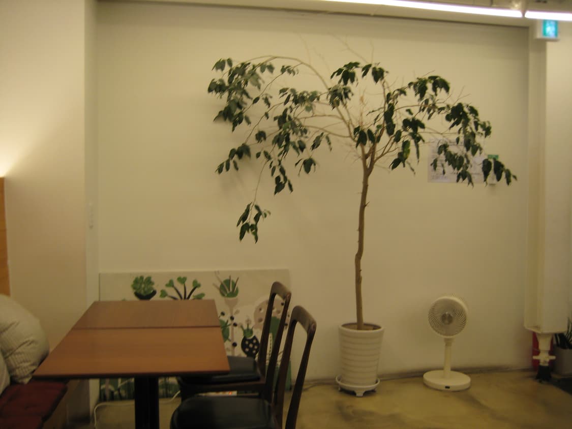 강민경 디카 익서스 70=익시 10 작례 o 상품이미지10