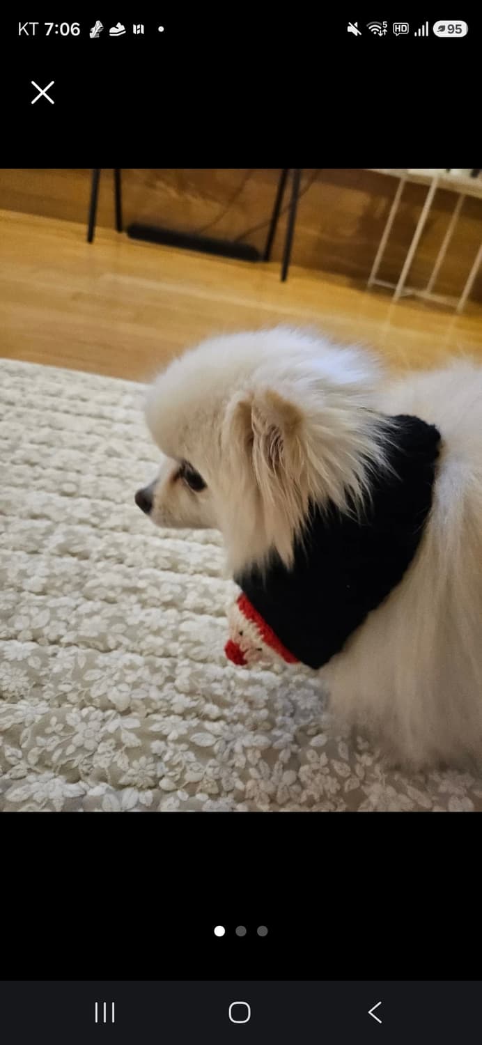 핸드메이드 강아지 산타 목도리 상품이미지1