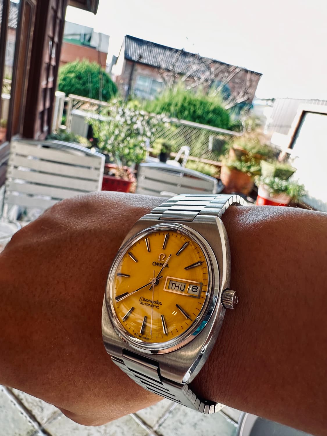 오메가 고구마 엘로우 상품이미지1