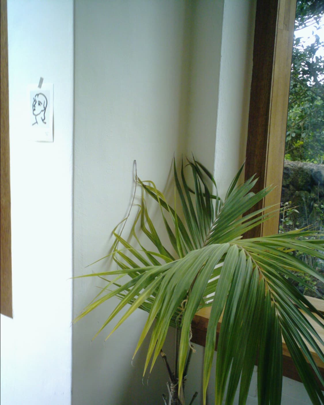 AVOX adss-02xs 빈티지디카 상품이미지3