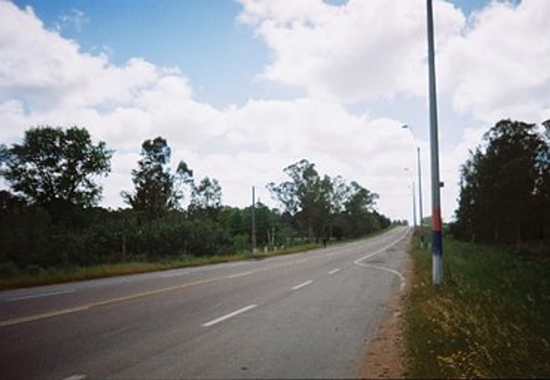 캐논 프리마 BF-90 필름 카메라 (빈티지 카메라) 상품이미지6