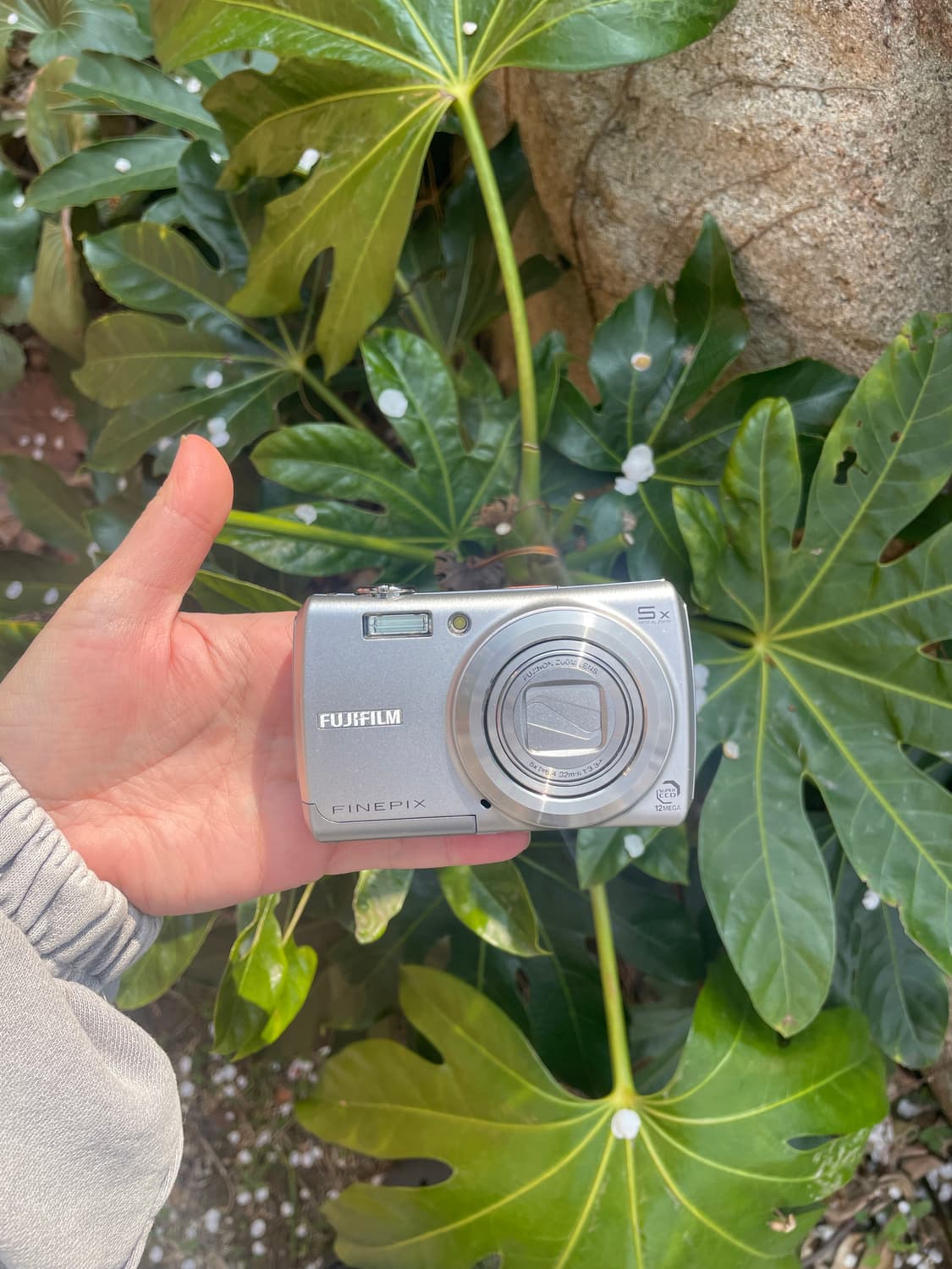 뽀용색감추천)후지필름 파인픽스 F100fd 상품이미지1