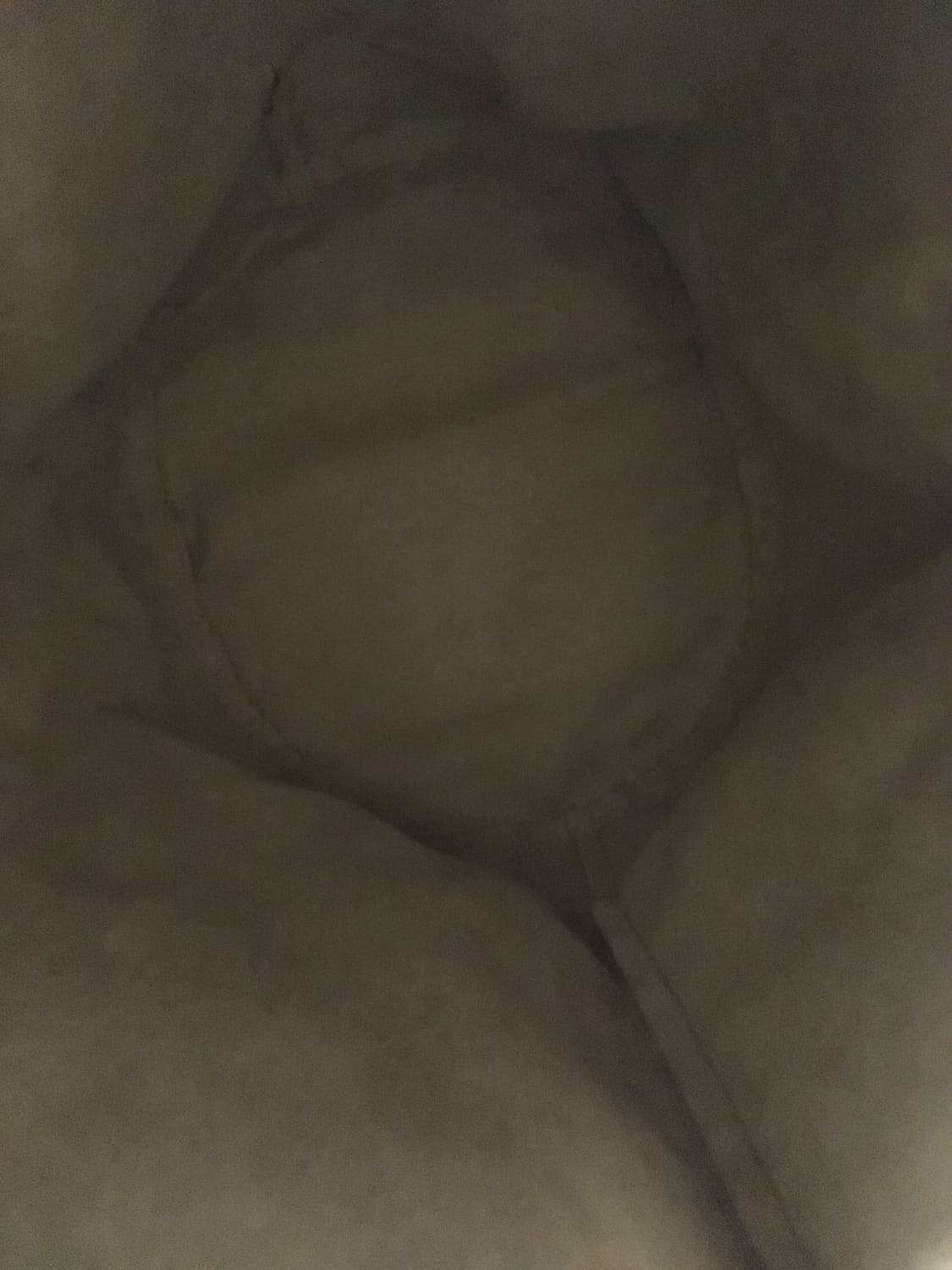 이세이 미야케 실버 버킷 백 상품이미지2