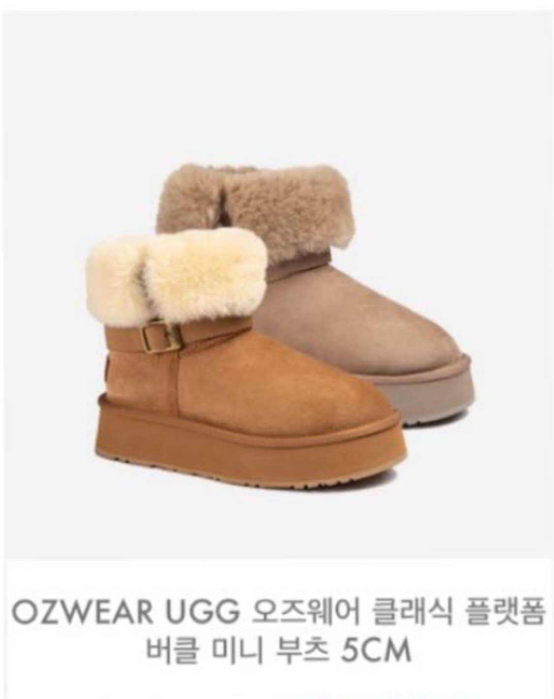 호주 어그 버클 미니 부츠 5cm 상품이미지1