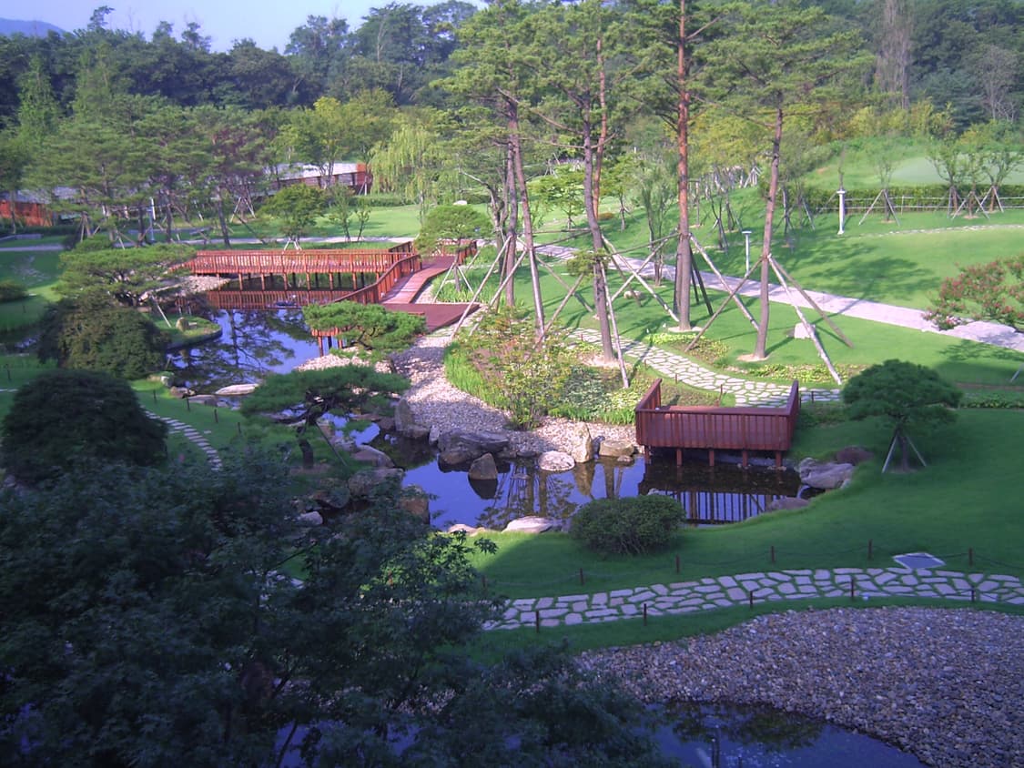 캐논 PowerShot SD630/ 익서스 65  디카 (빈티지 카메라) 상품이미지10