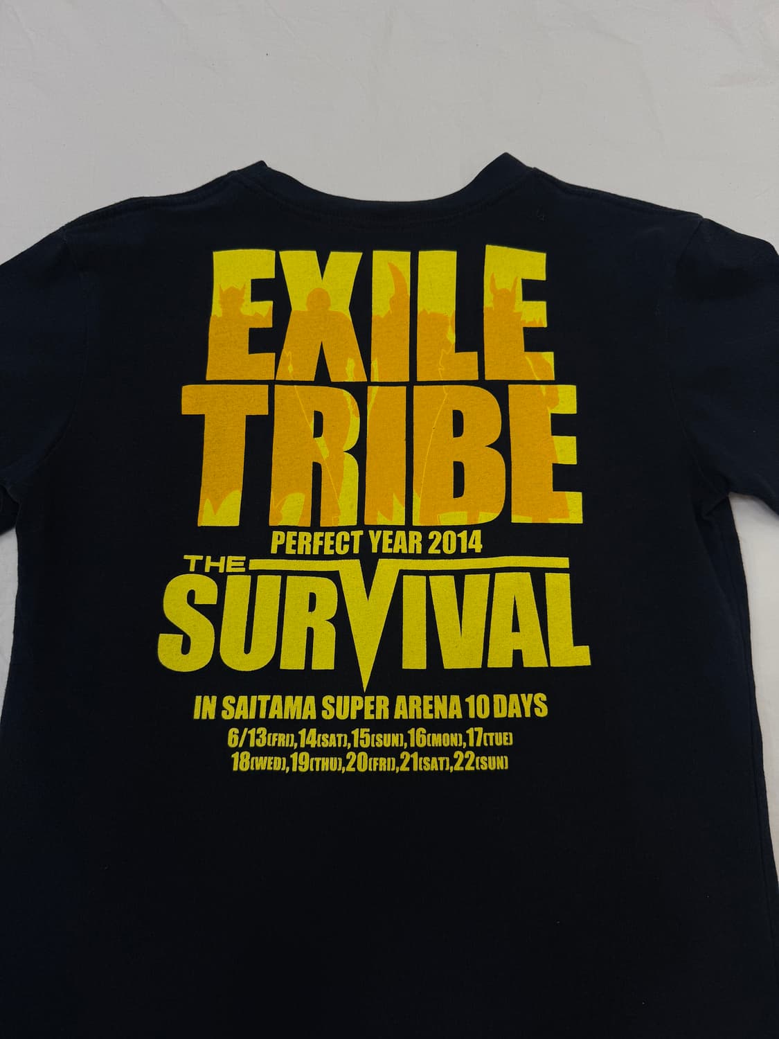  2014 THE SURVIVAL 투어 반팔 티셔츠 상품이미지5