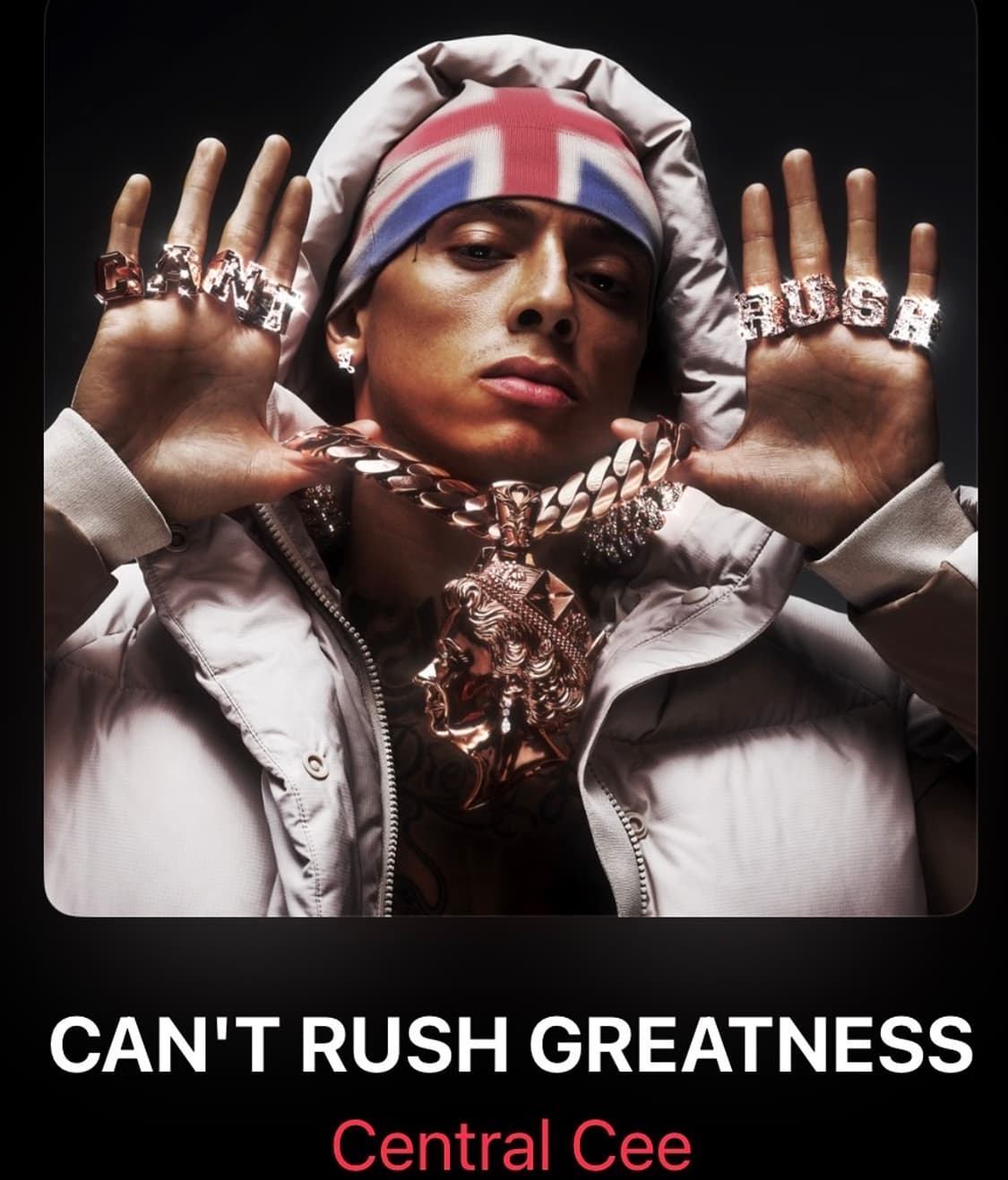 센트럴씨 내한 vip meet and greet 티켓 교환/동행 상품이미지1