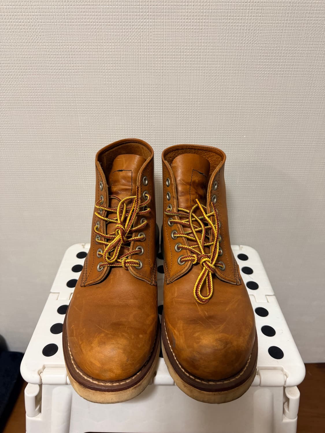 레드윙 라운드토 US6 240 상품이미지5