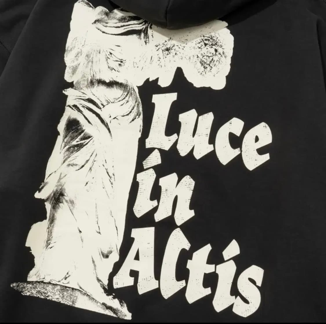 엑스트라오디너리 후드티 상품이미지3